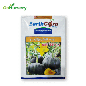 মিষ্টি কুমড়া ব্ল্যাক উড ৭২১-10 gm