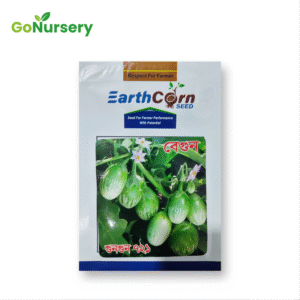 বেগুন গুনগুন ৭২১-5GM