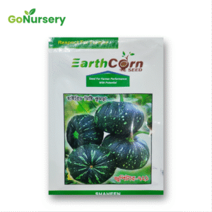 মিষ্টি কুমড়া - জুপিটার ৭২১-10GM