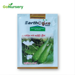 লাউ লাইট গ্রিন আলিফ ৭২৪-10GM