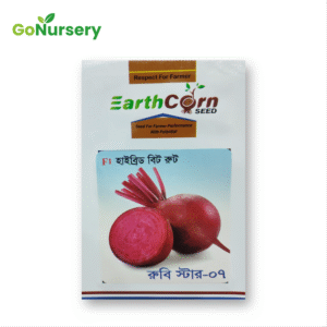 বীটরুট রুবি ষ্টার ০৭ Rubi Star 07