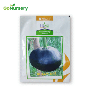 মিষ্টি কুমড়া ব্ল্যাক আই  Black eye