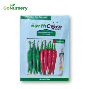 মরিচ ফায়ার উড-৭২১-10GM
