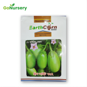 বেগুন গ্রীন লাইট ৭২২ Green Light 722 5GM