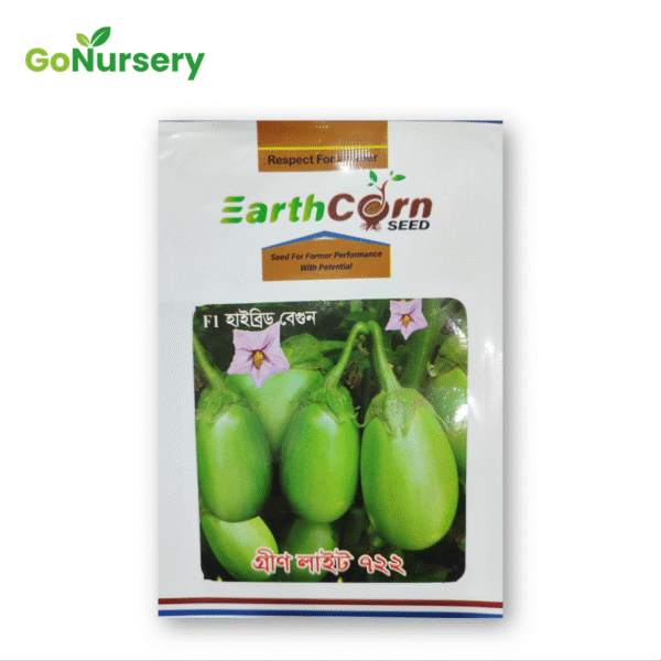 বেগুন গ্রীন লাইট ৭২২ Green Light 722 5GM