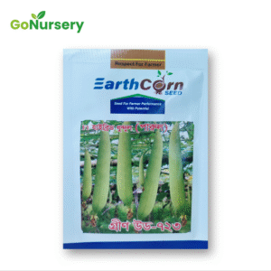 ধুন্দল পারুল Parul 723 10GM