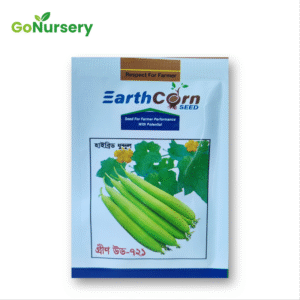 ধুন্দল গ্রিনউড ৭২১-10GM
