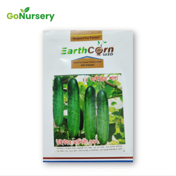 শসা মালিনী ৭৭৭-5GM