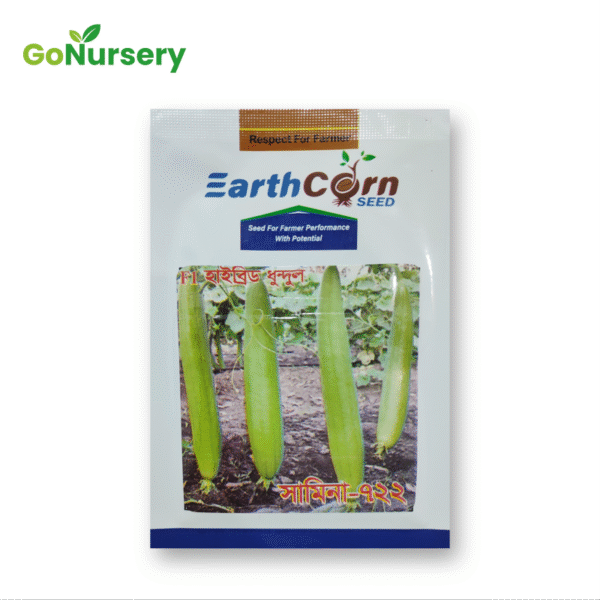 ধুন্দল সামিনা ৭২২-10GM