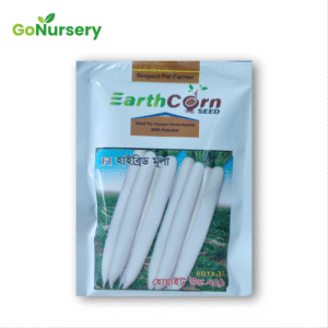 মুলা হুয়াইট উড-100GM